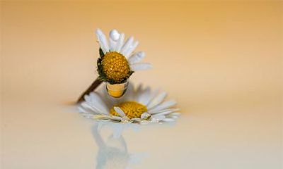 2022年农历三月理发吉日一览表，适合剪头发的好日子