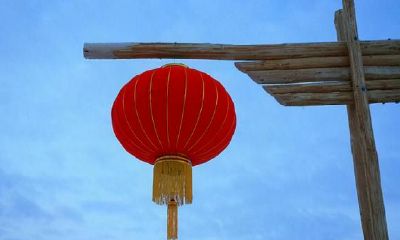 属相猴的人温柔体贴，反应迅速，脑壳转的比谁都快