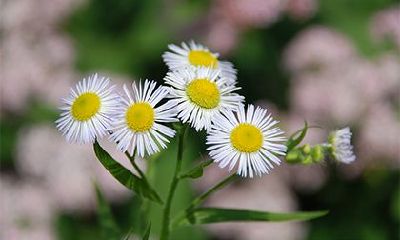 2022年农历九月二十九出生的人星座查询，脾气性格有什么特征？