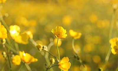 2022虎年三月二十九日子怎么样？黄历宜理发吗？