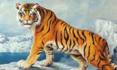 一个人的勇气是和生肖密切相关的，你完了讨论一下就知道