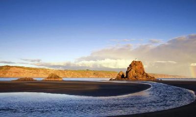 有关狮子座的20条冷门知识，情感中的TA并不会那么骄傲