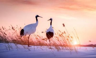 2022年农历九月二十六出生的宝宝是什么星座？运势好不好？