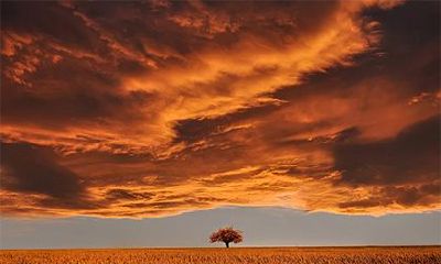 什么时辰出生能嫁豪门？农历几日女人嫁富商？