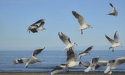 2022年农历九月二十二出生好吗？这天是什么星座？