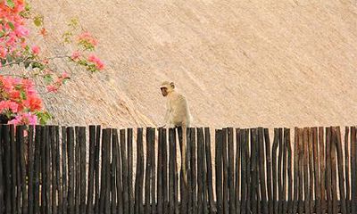 五个日子出生的人越老越有钱
