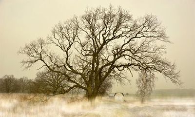 有权有势的生日尾数，什么日子出生最有权势？