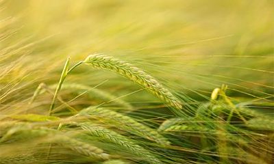 2022虎年农历三月二十二黄历的日子如何？去剪头发好吗？