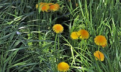 2022年三月二十一日子好吗？适合理发吗？