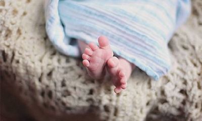 2022年虎年农历十一月初十出生女虎宝宝命理