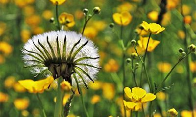 2022年虎年三月十八当天老黄历宜理发吗？