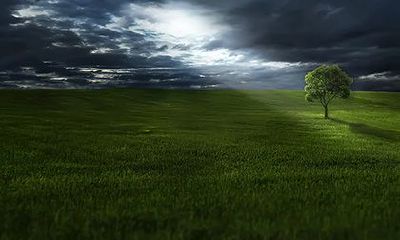 农历几月出生男人命苦？男人哪天出生富贵命？