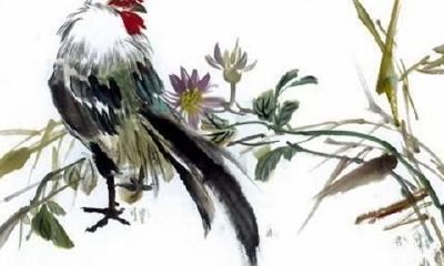 1993年属鸡人一生运势