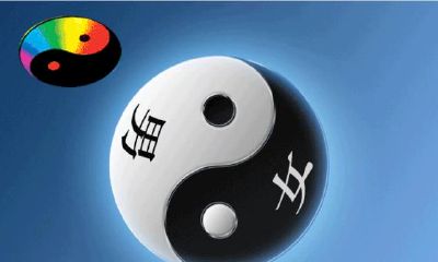 从世爻的变动位置推测过去和未来