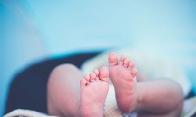 2022壬寅虎年农历三月出生命理好不好？