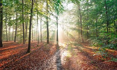 带亡神煞是什么意思？八字带亡神会短命吗？