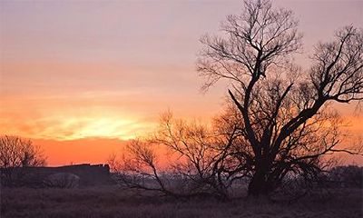 亡神在日柱是什么意思？日柱亡神的命运