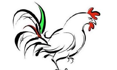 属鸡的男生命怎么样