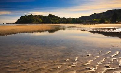 地支藏干规律性的一般小结