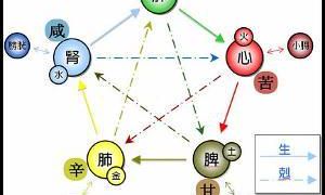 四柱地支藏天干的取用总数