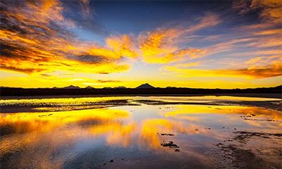 戊辰日柱不是凡人命吗？戊辰日柱是上等日柱吗？