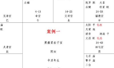 紫微斗数：实例一⑤（流年、大限、女孤相、奸门）