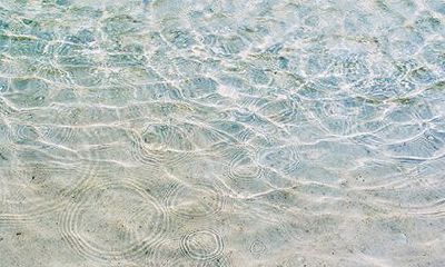 将星在四柱的不同意义，八字带将星的命运