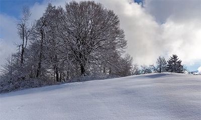 女命日柱带将星嫁贵夫吗？女命带将星特点婚姻