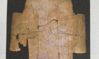 最初的占卦方式——卜骨