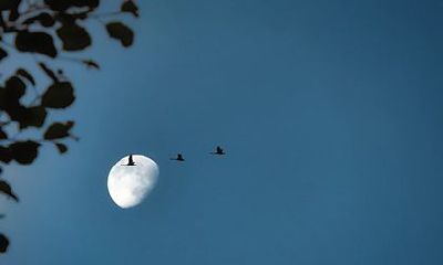 天上下来的人六亲缘薄吗？六亲缘薄的八字特征