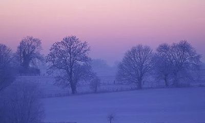 戊辰日柱女命婚后发达是吗？戊辰日柱女命婚配