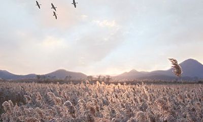 月柱将星是什么意思？命带将星的人的命运