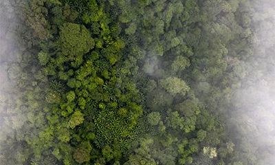 年柱将星好不好？年柱将星是什么意思？