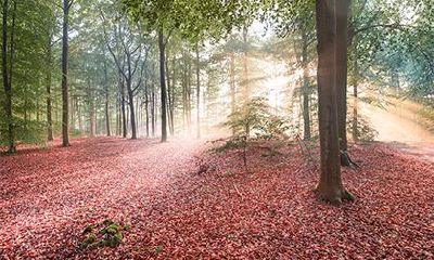 戊辰日柱几点出生好？戊辰日是魁罡日吗？