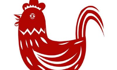 生肖鸡性格分析，有坚持不懈的精神，但缺乏自信