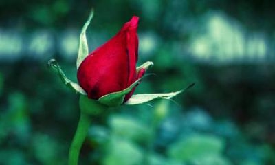 不爱说话，寡言少语的摩羯座，办事用心，完美主义者