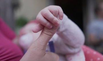 2023年冬月初五出生傅姓女孩名字