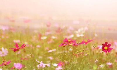 三命通会 癸未日不同时辰生人命运