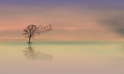 癸未日最佳出生时辰，癸未日出生的人富贵吉凶解析