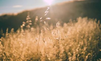 癸未日柱是上等日柱吗？癸未日柱的最佳婚配