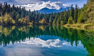 庚寅日五行属什么？庚寅日绝处逢生必富贵