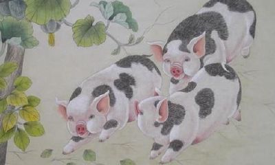 这好多个属相人愈发福，财越大，最好是不必减肥瘦身