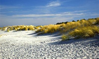 辛未日哪个时辰好？辛未日柱男女婚姻详解