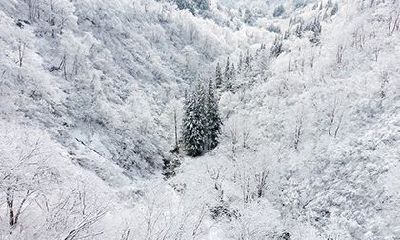辛未日柱是上等日柱吗？辛未日出生的男女命精论
