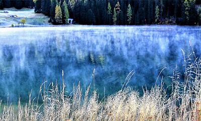辛未日生于各月分析，辛未日出生月份看富贵
