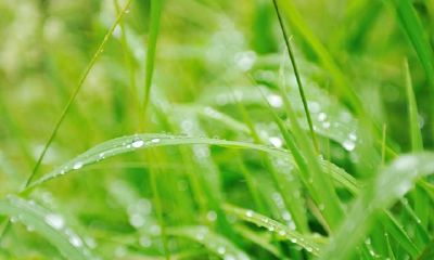 「深层国学经典之十一」纳甲法解年命好听的花名