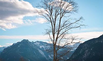 生在壬午日的一定是好命吗？壬午日出生的人性格详解
