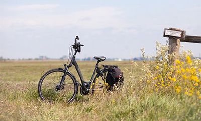 戊寅日柱男命的媳妇长相，戊寅日柱男命婚姻详解