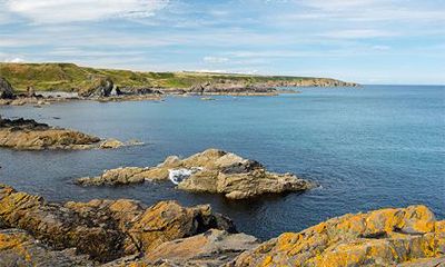 戊寅日生于哪个时辰好？戊寅日不同时辰出生命运解析
