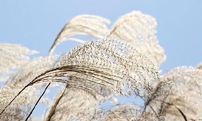 戊寅日是什么意思？戊寅日是哪一天？